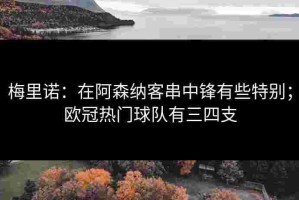 梅里诺：在阿森纳客串中锋有些特别；欧冠热门球队有三四支